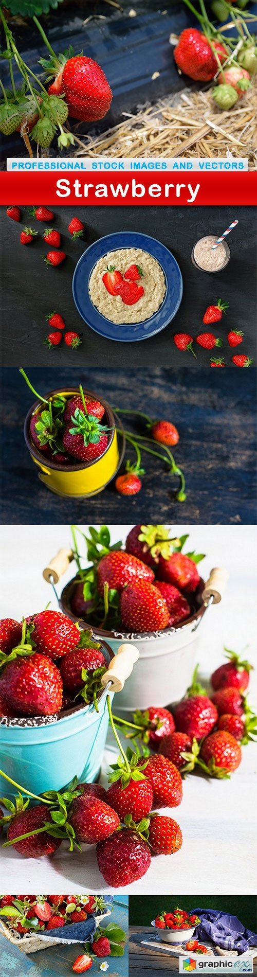 Strawberry - 6 UHQ JPEG