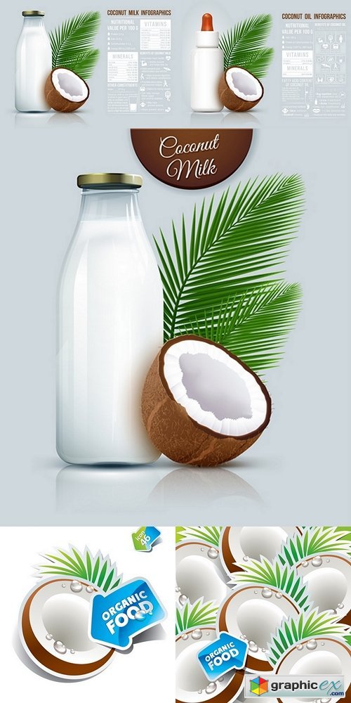 Coconut oil infographic
