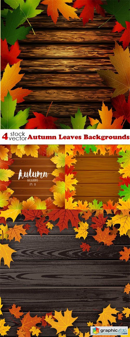 Autumn Leaves Backgrounds