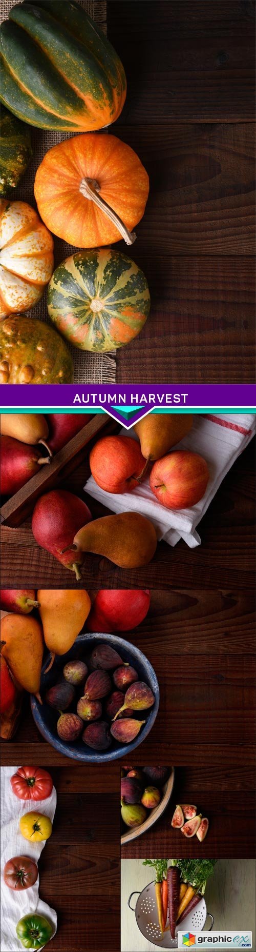 Autumn harvest 6X JPEG