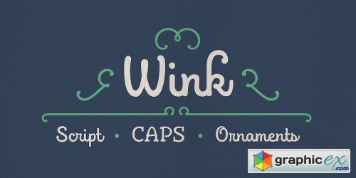  Wink Font Family - 3 Fonts 