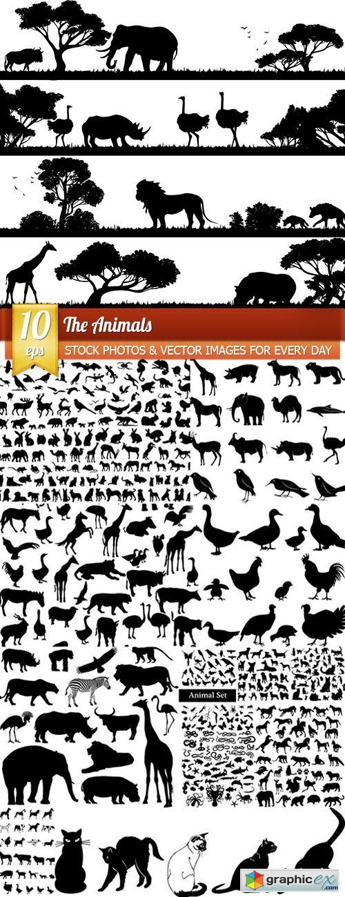 The Animals, 10 x EPS
