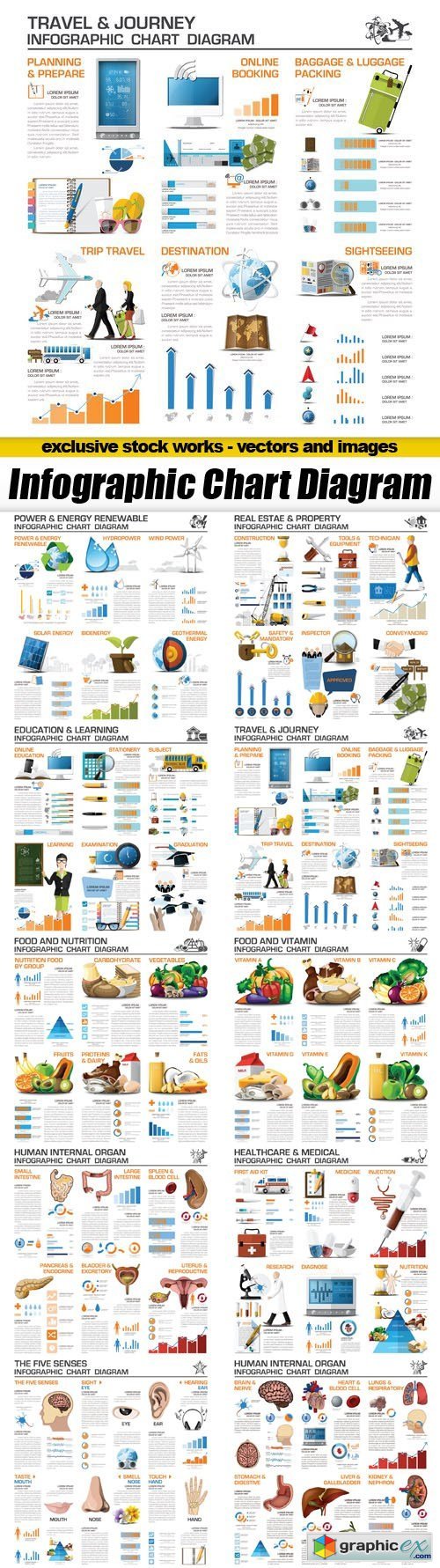 Infographic Chart Diagram - 10xEPS