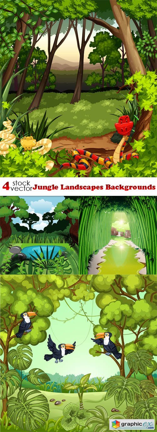 Jungle Landscapes Backgrounds