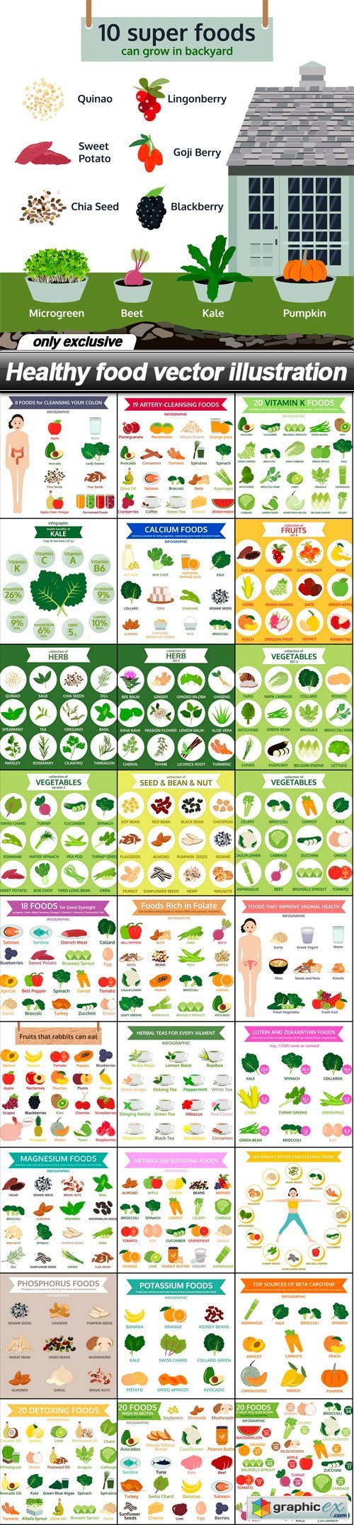 Healthy food vector illustration - 28 EPS