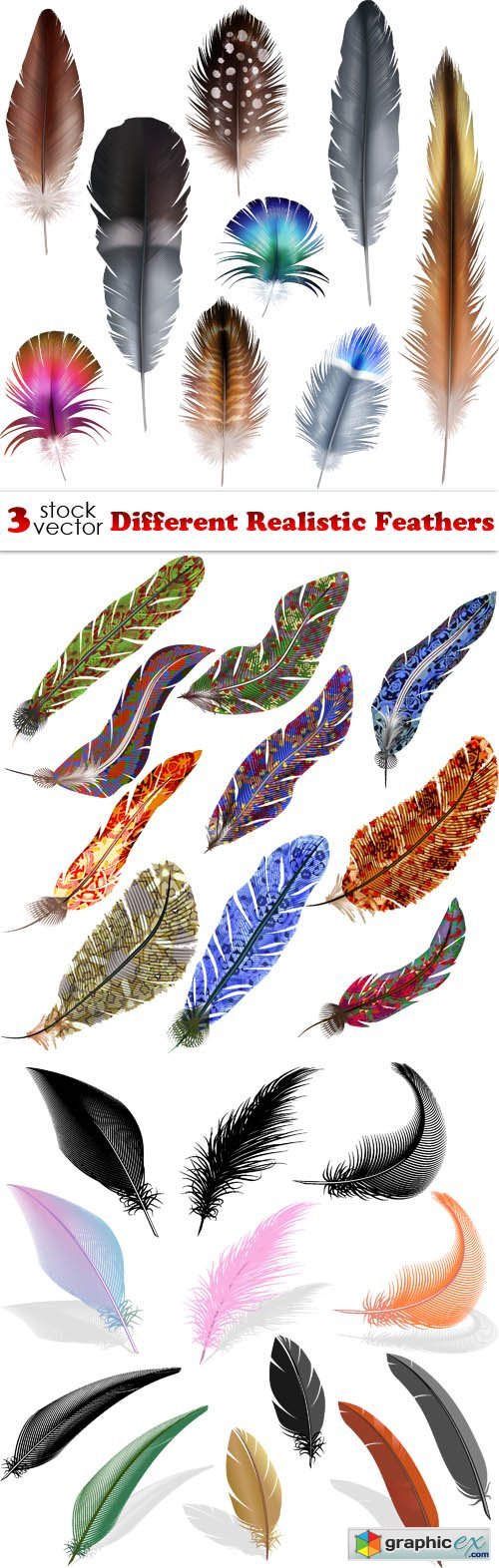 Different Realistic Feathers