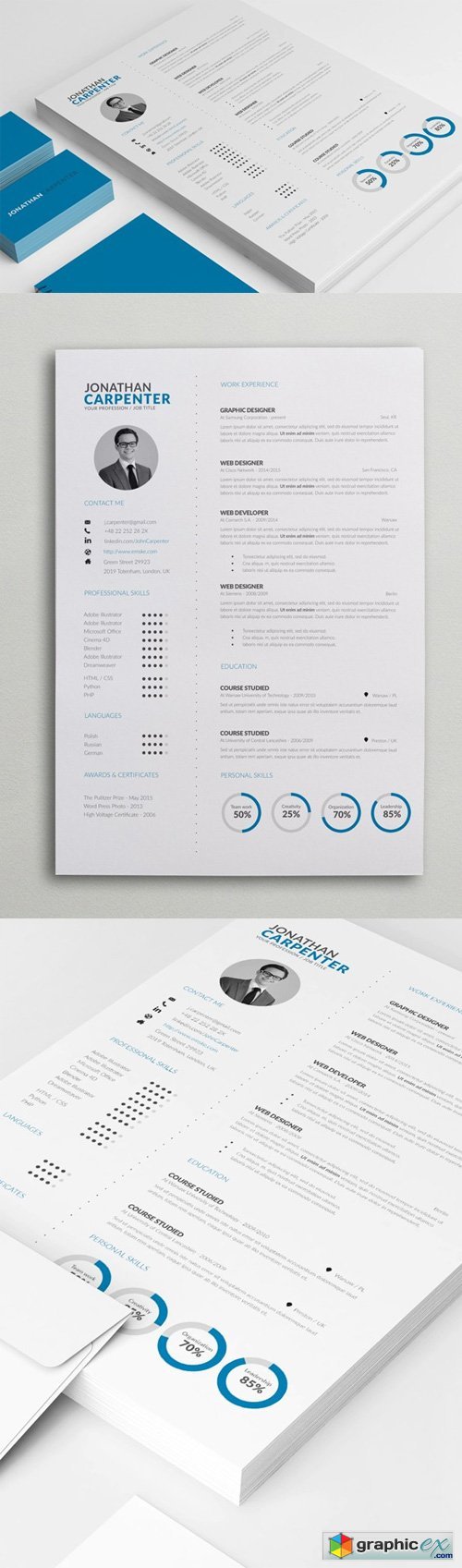 Clever Resume with Charts (Word, PSD)