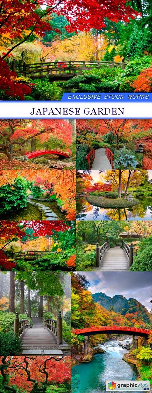Japanese Garden 9X JPEG