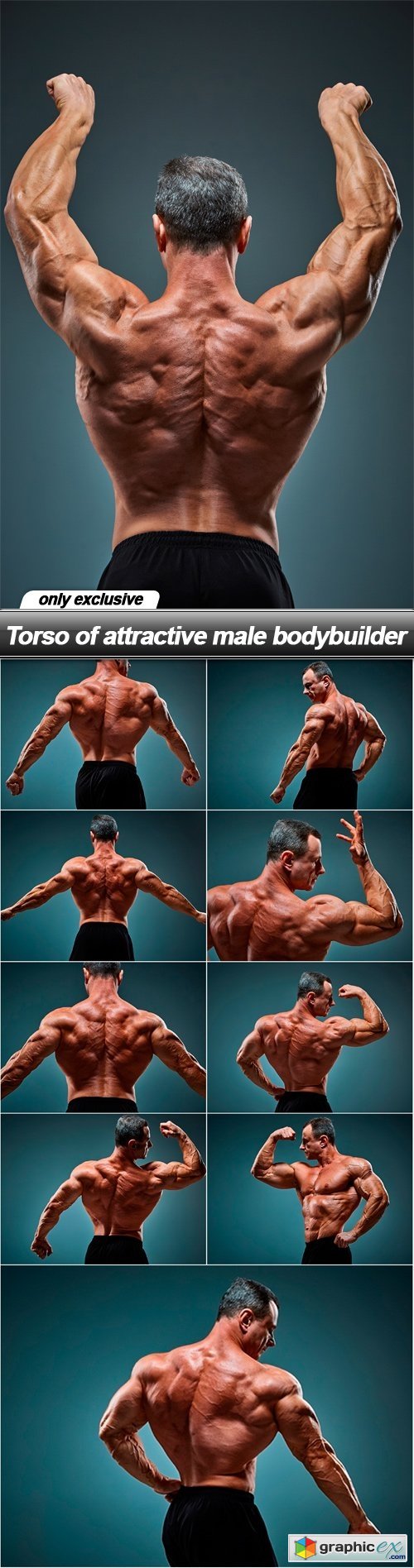 Torso of attractive male bodybuilder - 10 UHQ JPEG