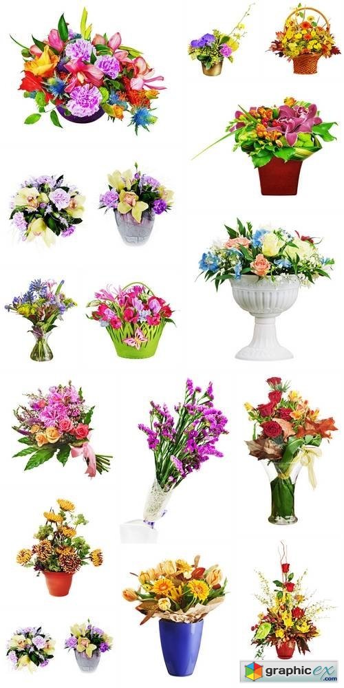 Colorful Flower Bouquet Isolated