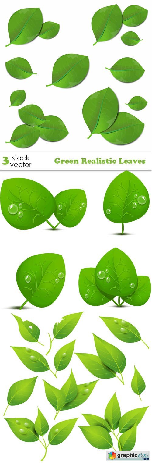 Green Realistic Leaves