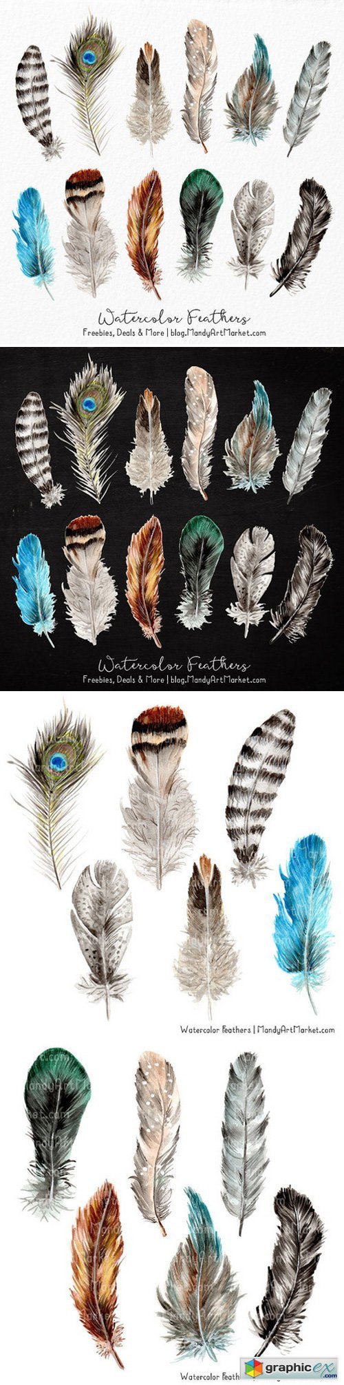 Natural Watercolor Feather Clipart