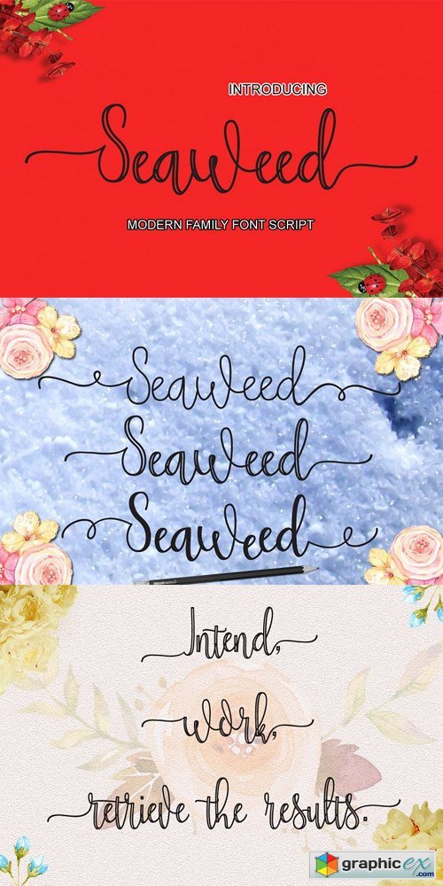 Seaweed Font Family