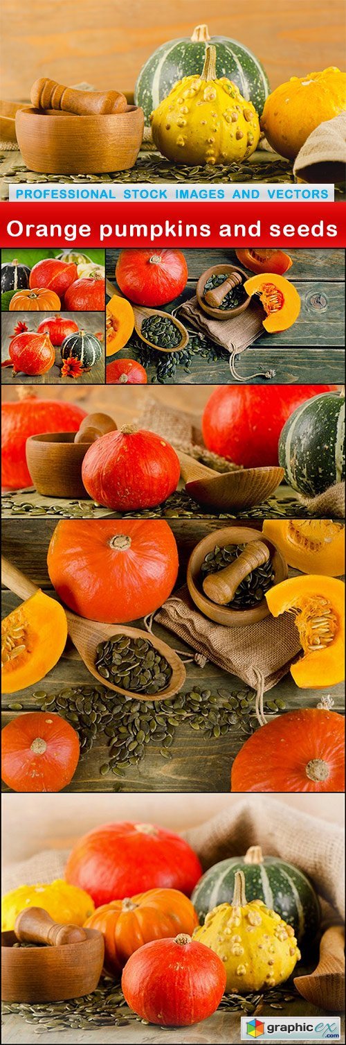 Orange pumpkins and seeds - 7 UHQ JPEG