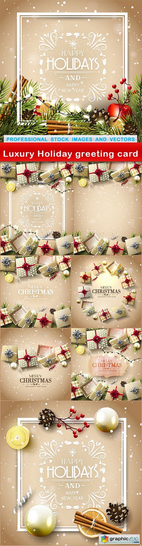 Luxury Holiday greeting card - 8 EPS