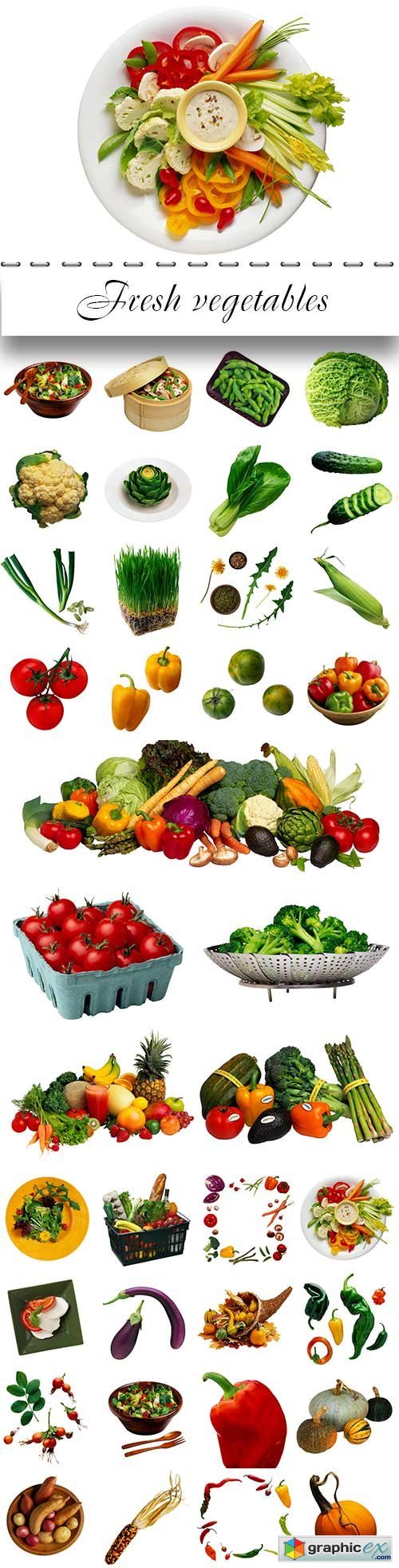 Fresh vegetables proper nutrition