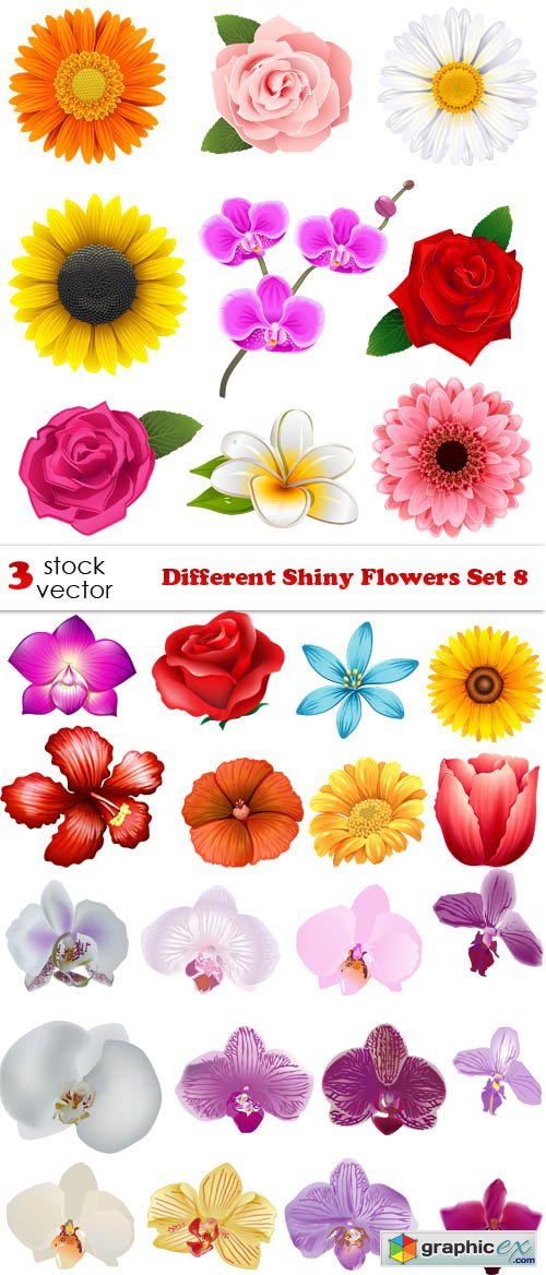 Different Shiny Flowers Set 8