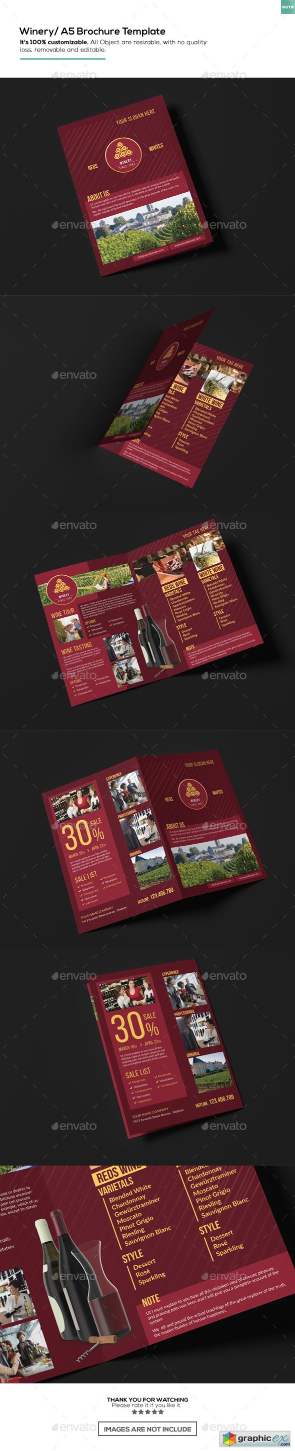Winery/ A5 Brochure Template