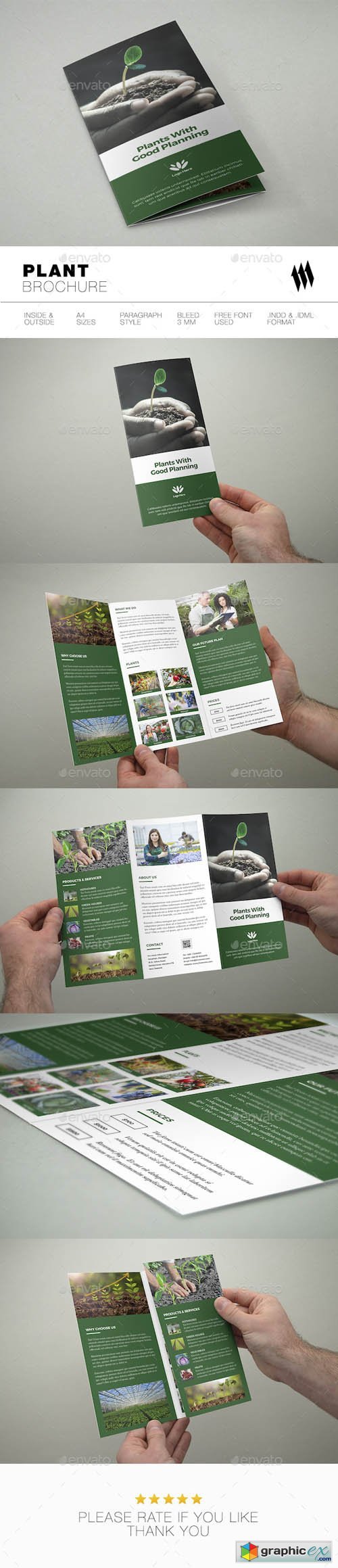 Trifold Plant Brochure