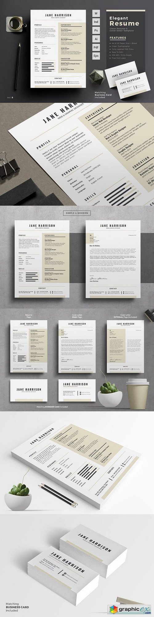 Professional Resume Template 874521