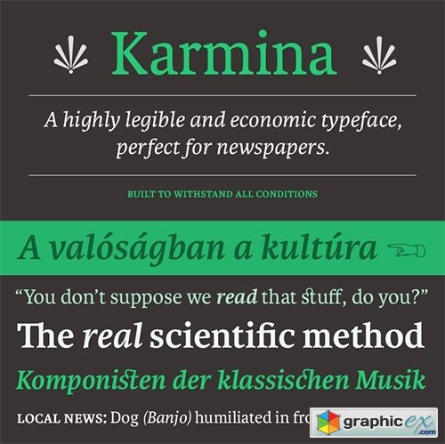 Karmina Font Family - 16 Fonts
