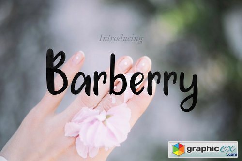Barberry Font + Extras