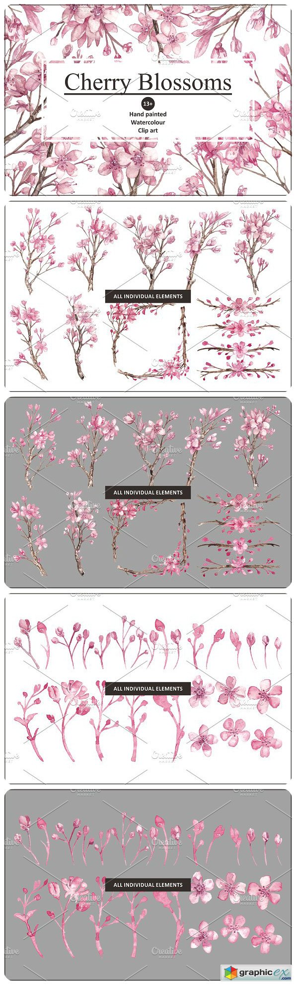 Cherry Blossom Watercolour clipart
