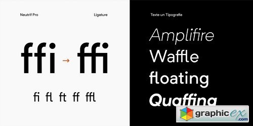 Neutrif Pro Font Family - 10 Fonts