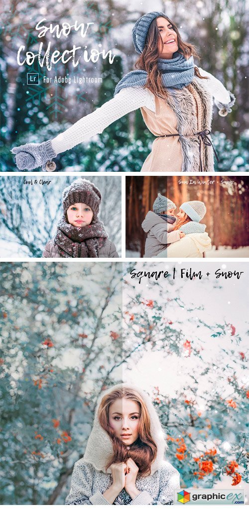 Snow Presets & Brushes