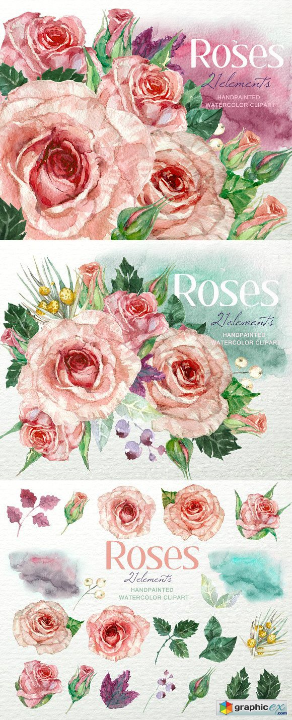 Shabby Roses Watercolor Clipart F-39