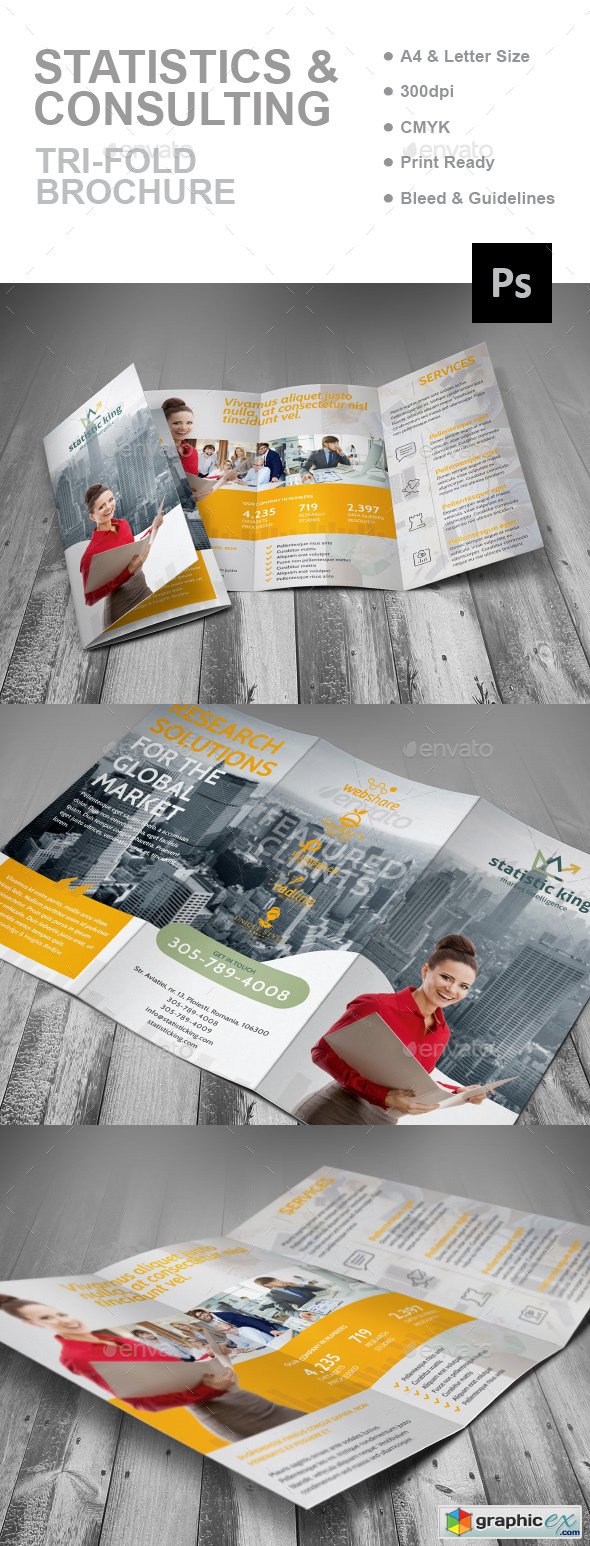Statistics And Consulting Trifold Brochure