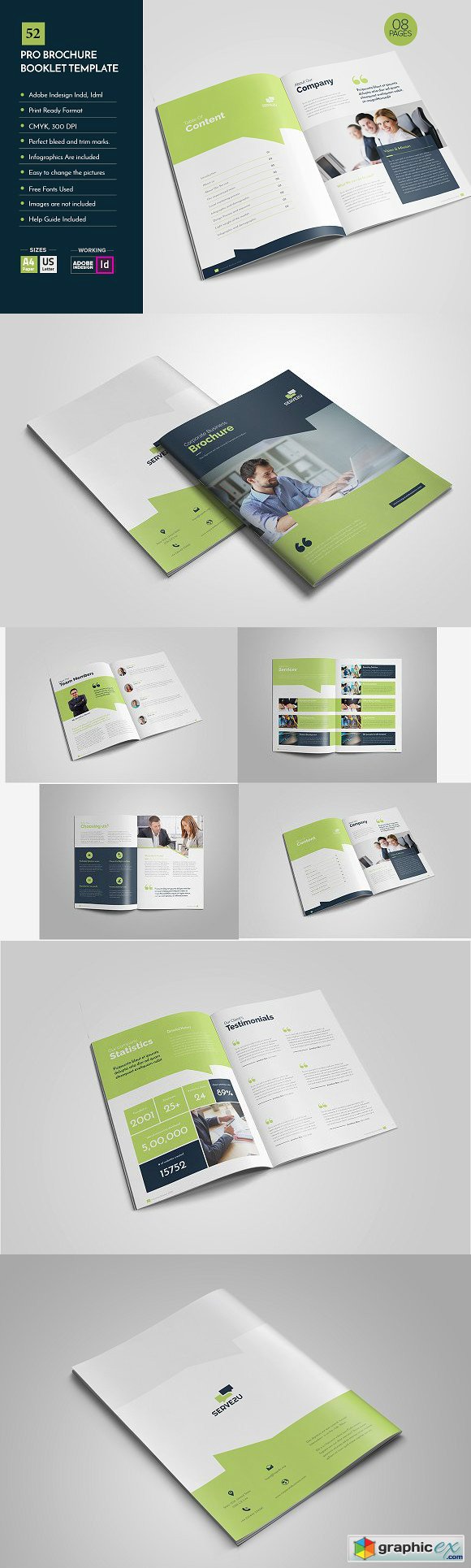 Professional Brochure template V52