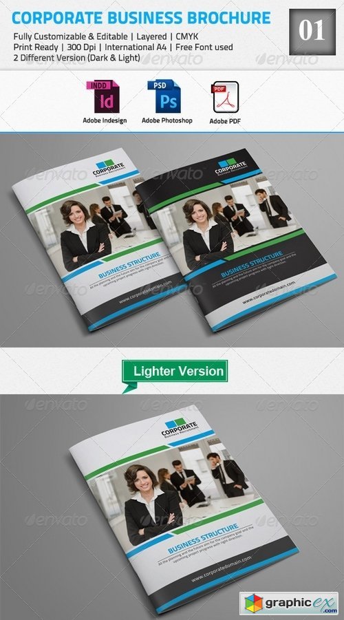 Corporate Business Brochure 01