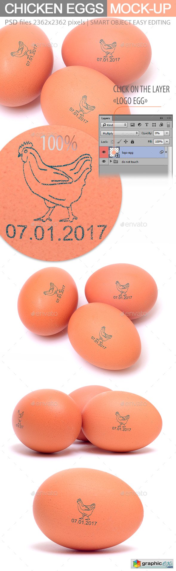 Marking Eggs Mock-up