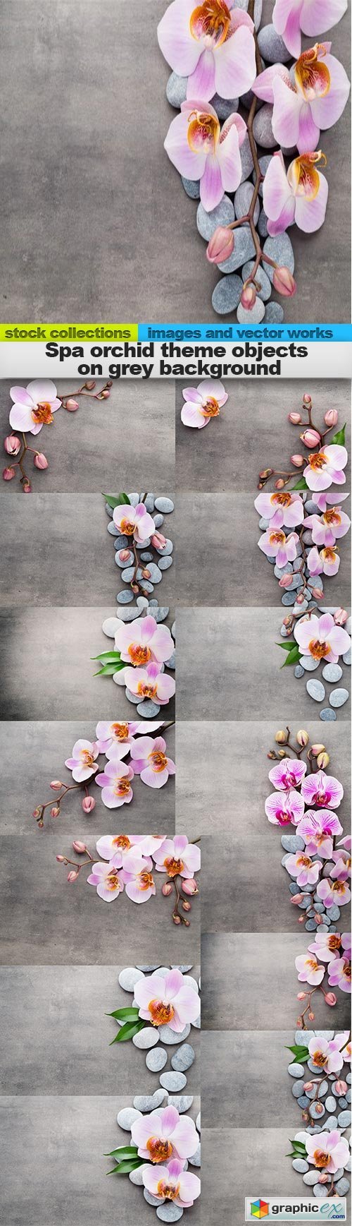 Spa orchid theme objects on grey background, 15 x EPS
