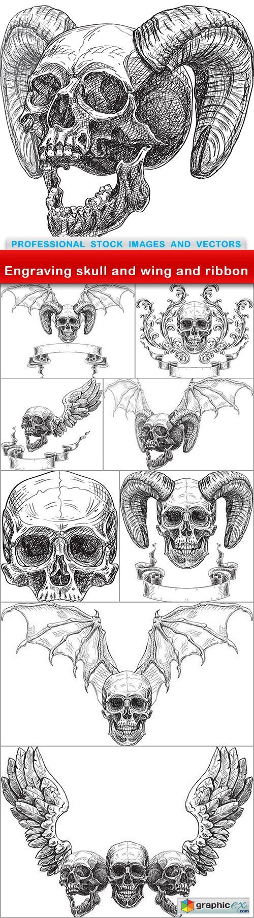 Engraving skull and wing and ribbon - 9 EPS