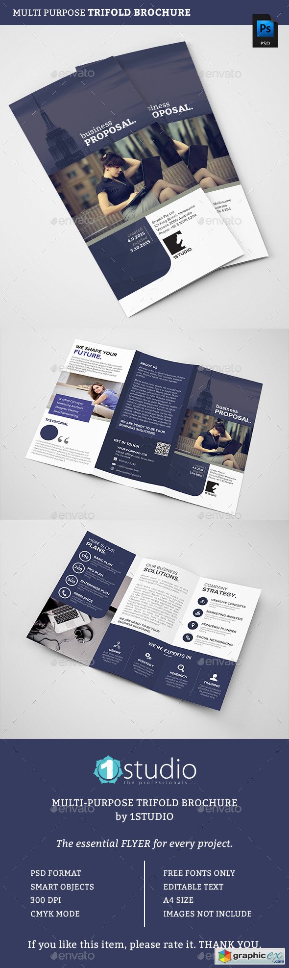 Trifold Brochure 12776450