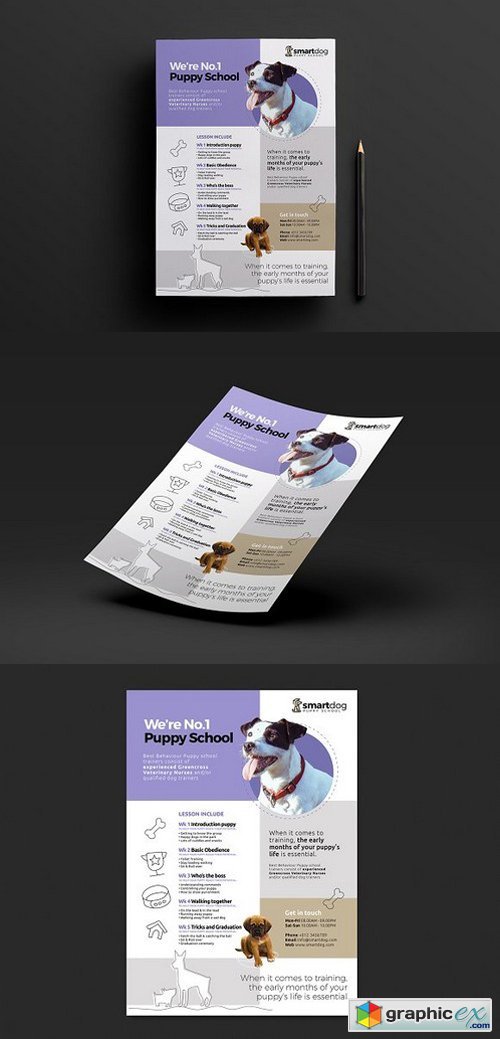A4 Puppy School Poster Template v2