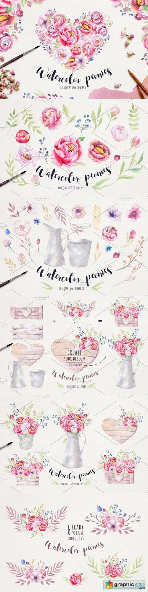 Watercolor peonies & floral