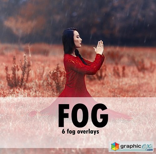 Dicicco photography - Fog Overlays