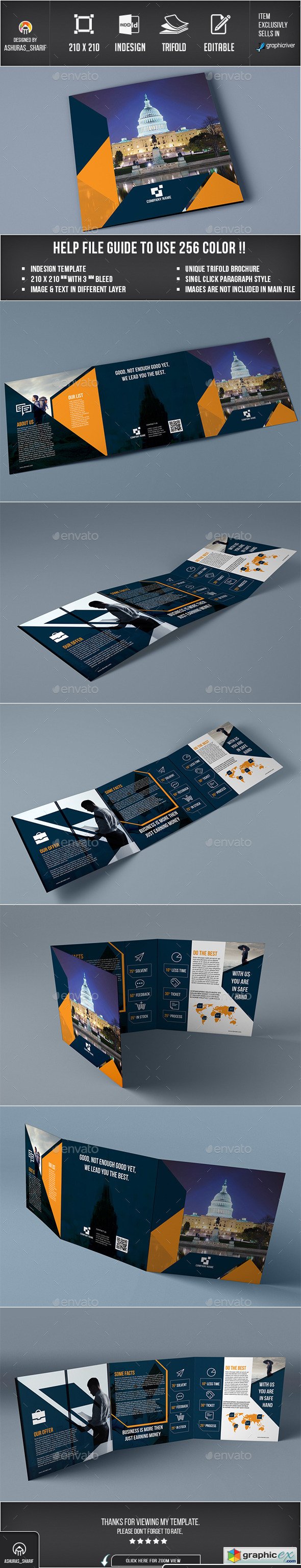 Trifold Brochure 12246535