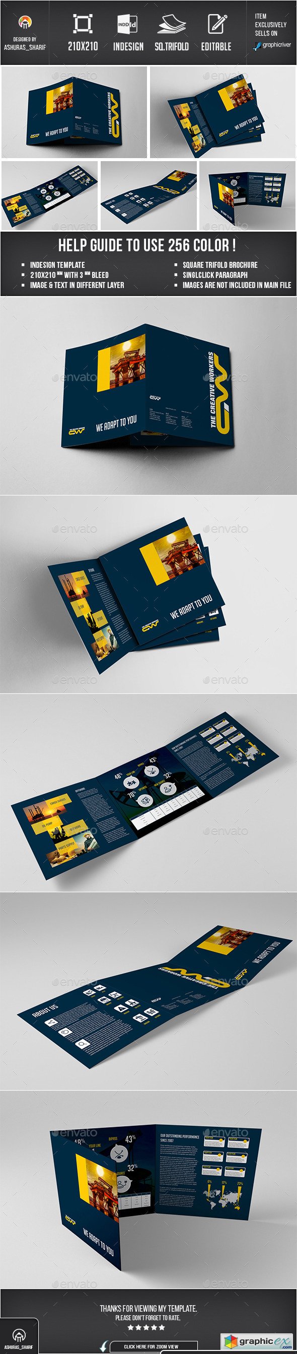 Trifold Brochure 12656362