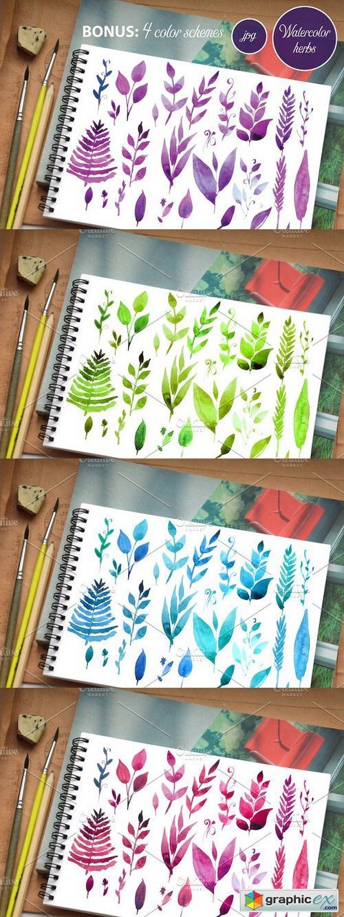 Watercolor Herbs and leaves