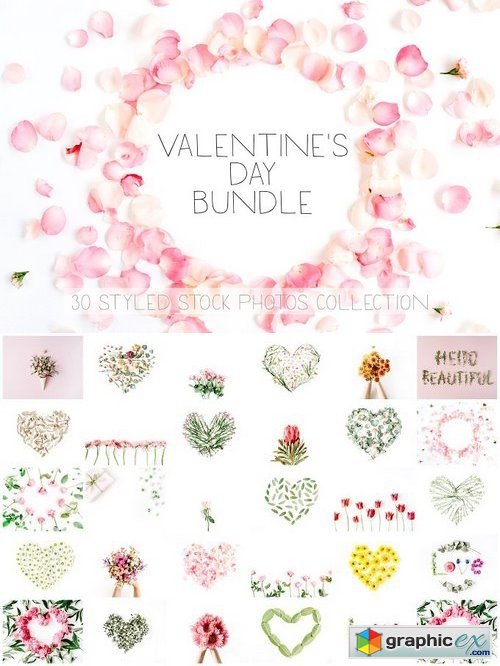 Valentine's Day Bundle 1162539