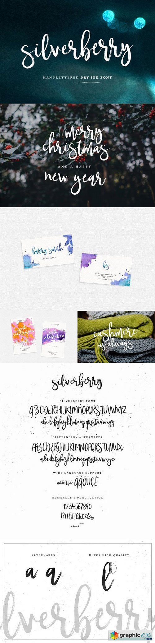 Silverberry - Dry Ink Font