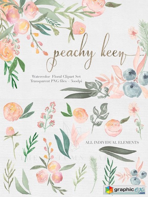Peachy Keen Watercolor clipart Set 476836