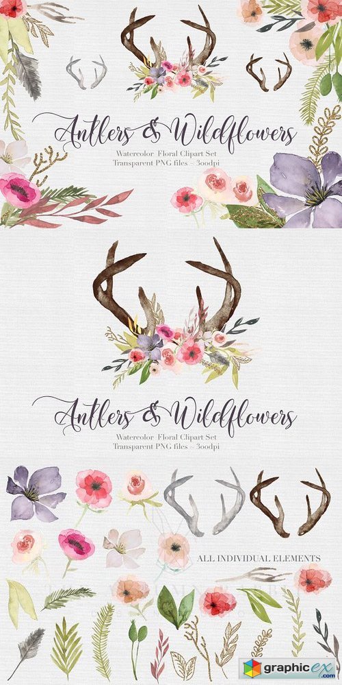Antlers & flowers Watercolor Clipart