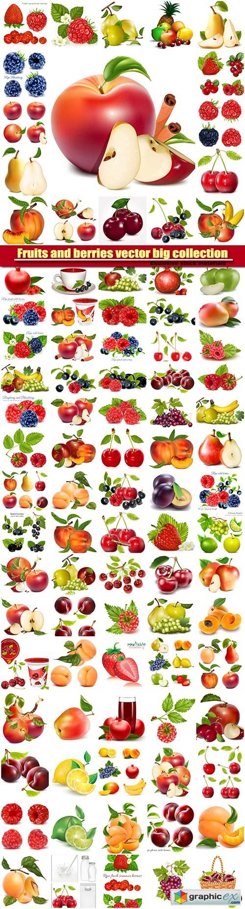 Fruits and berries vector big collection