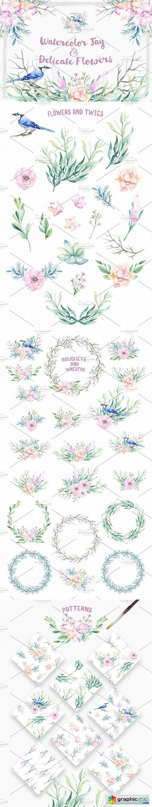 Watercolor Jay & Delicate Flowers