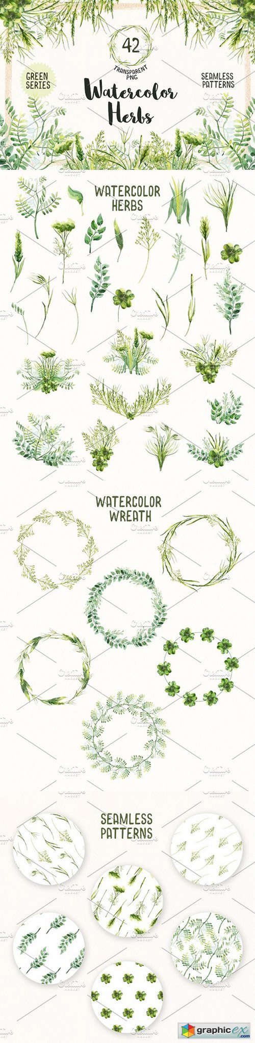 Watercolor Herbs Vol.2